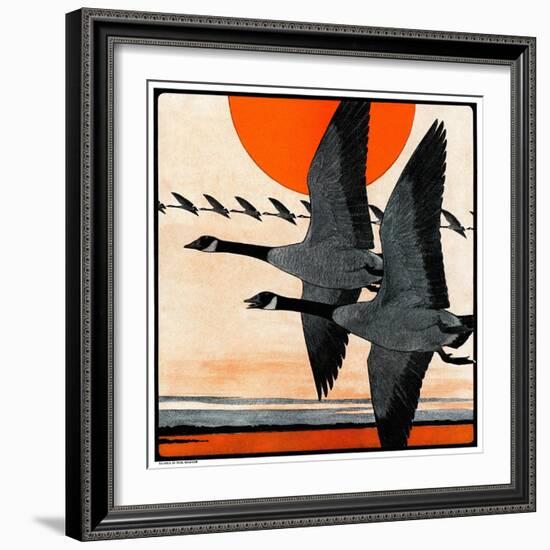 "Flock of Geese in Formation,"November 15, 1924-Paul Bransom-Framed Giclee Print