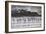 Flock Of Greater Flamingos (Phoenico Ruber), Diaz Point, Luderitz, South Atlantic Ocean, Namibia-Karine Aigner-Framed Photographic Print