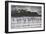 Flock Of Greater Flamingos (Phoenico Ruber), Diaz Point, Luderitz, South Atlantic Ocean, Namibia-Karine Aigner-Framed Photographic Print