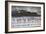 Flock Of Greater Flamingos (Phoenico Ruber), Diaz Point, Luderitz, South Atlantic Ocean, Namibia-Karine Aigner-Framed Photographic Print