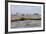 Flock of Oiled Brown Pelicans (Pelecanus Occidentalis)-Gerrit Vyn-Framed Photographic Print