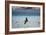 Flock of Pelicans-Toula Mavridou-Messer-Framed Photographic Print