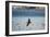 Flock of Pelicans-Toula Mavridou-Messer-Framed Photographic Print