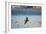 Flock of Pelicans-Toula Mavridou-Messer-Framed Photographic Print