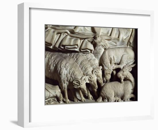 Flock of Rams-Nicola Pisano-Framed Giclee Print