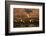 Flock of sandhill cranes taking off at sunset, Bosque del Apache National Wildlife Refuge, New Mexi-Adam Jones-Framed Photographic Print