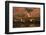 Flock of sandhill cranes taking off at sunset, Bosque del Apache National Wildlife Refuge, New Mexi-Adam Jones-Framed Photographic Print