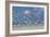 Flock Of Sea Birds, Black Skimmers & Terns, White Sand Beach, Gulf Of Mexico, Holbox Island, Mexico-Karine Aigner-Framed Photographic Print