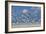 Flock Of Sea Birds, Black Skimmers & Terns, White Sand Beach, Gulf Of Mexico, Holbox Island, Mexico-Karine Aigner-Framed Photographic Print