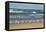 Flock of seaguls on the beaches of Lake Michigan, Indiana Dunes, Indiana, USA-Anna Miller-Framed Premier Image Canvas