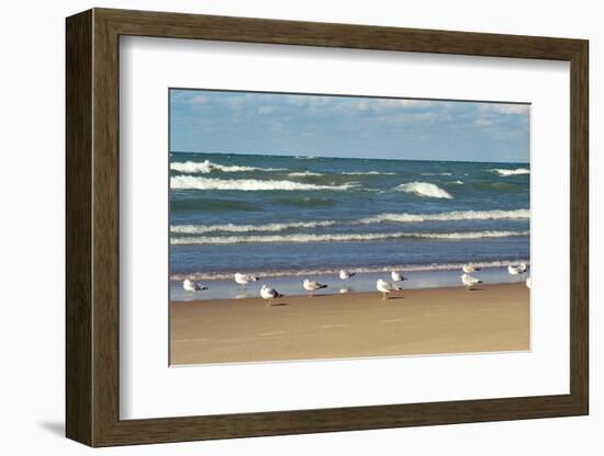 Flock of seaguls on the beaches of Lake Michigan, Indiana Dunes, Indiana, USA-Anna Miller-Framed Photographic Print