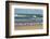 Flock of seaguls on the beaches of Lake Michigan, Indiana Dunes, Indiana, USA-Anna Miller-Framed Photographic Print