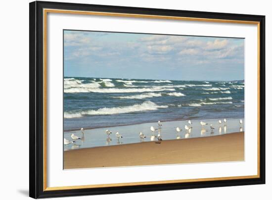 Flock of seaguls on the beaches of Lake Michigan, Indiana Dunes, Indiana, USA-Anna Miller-Framed Photographic Print