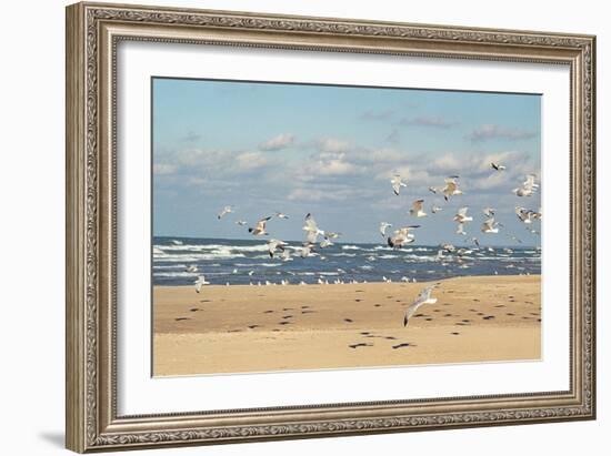 Flock of seaguls on the beaches of Lake Michigan, Indiana Dunes, Indiana, USA-Anna Miller-Framed Photographic Print