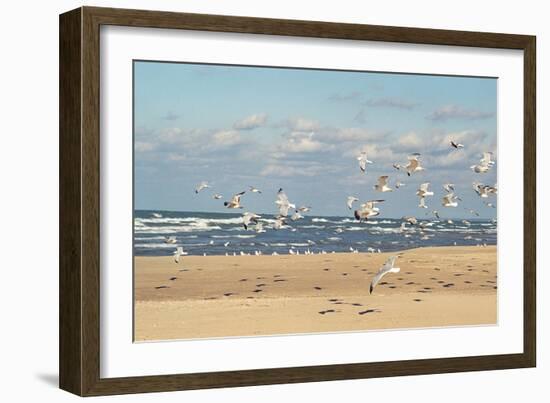 Flock of seaguls on the beaches of Lake Michigan, Indiana Dunes, Indiana, USA-Anna Miller-Framed Photographic Print