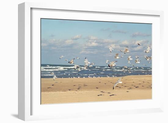 Flock of seaguls on the beaches of Lake Michigan, Indiana Dunes, Indiana, USA-Anna Miller-Framed Photographic Print