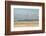 Flock of seaguls on the beaches of Lake Michigan, Indiana Dunes, Indiana, USA-Anna Miller-Framed Photographic Print