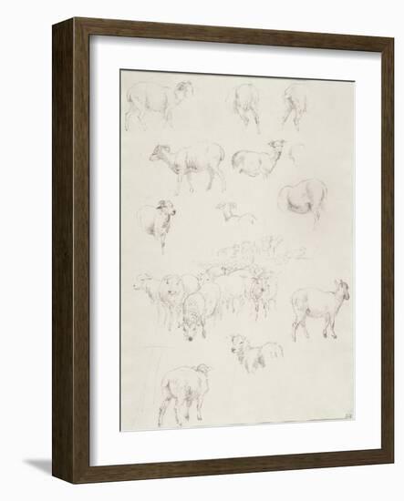 Flock of Sheep, after 1794-Robert Hills-Framed Giclee Print