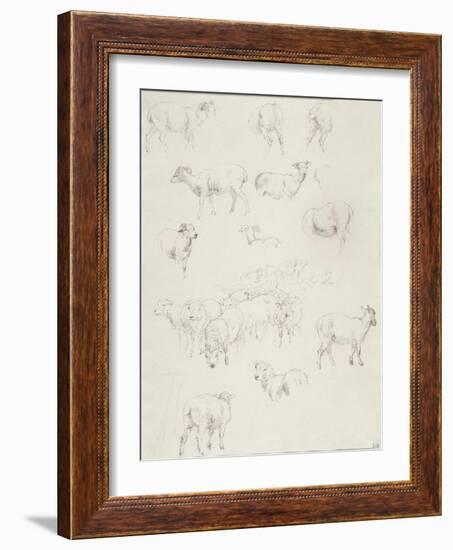 Flock of Sheep, after 1794-Robert Hills-Framed Giclee Print