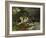 Flock of Sheep, Houghton Farm, 1878-Winslow Homer-Framed Giclee Print