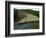 Flock of Sheep in Roadway-John Carnemolla-Framed Photographic Print