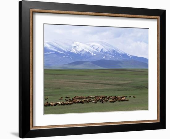 Flock of Sheep, Northeast Coast of Lake Van, Van Area, Anatolia, Turkey, Eurasia-Adam Woolfitt-Framed Photographic Print