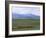 Flock of Sheep, Northeast Coast of Lake Van, Van Area, Anatolia, Turkey, Eurasia-Adam Woolfitt-Framed Photographic Print