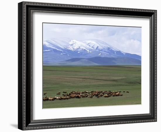 Flock of Sheep, Northeast Coast of Lake Van, Van Area, Anatolia, Turkey, Eurasia-Adam Woolfitt-Framed Photographic Print