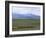 Flock of Sheep, Northeast Coast of Lake Van, Van Area, Anatolia, Turkey, Eurasia-Adam Woolfitt-Framed Photographic Print