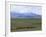 Flock of Sheep, Northeast Coast of Lake Van, Van Area, Anatolia, Turkey, Eurasia-Adam Woolfitt-Framed Photographic Print