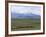 Flock of Sheep, Northeast Coast of Lake Van, Van Area, Anatolia, Turkey, Eurasia-Adam Woolfitt-Framed Photographic Print