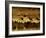 Flock of Snow Geese and Sandhill Cranes in Water and Ground Fog-Arthur Morris-Framed Photographic Print