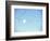 Flock of Snow Geese Flies before a Setting Moon, Washington, USA-William Sutton-Framed Photographic Print