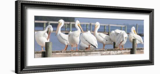 Flock on a Dock-Wink Gaines-Framed Giclee Print