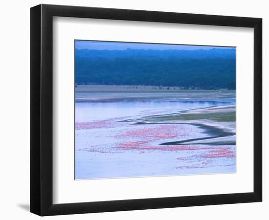 Flocks of Lesser Flamingos, Lake Nakuru, Kenya-Charles Sleicher-Framed Photographic Print