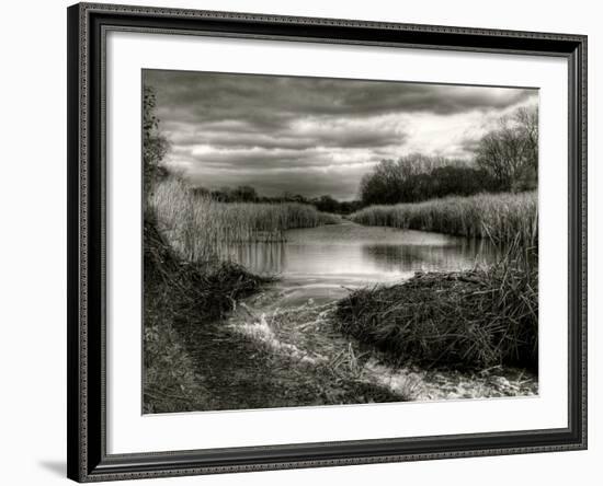 Flood Lines-Stephen Arens-Framed Photographic Print