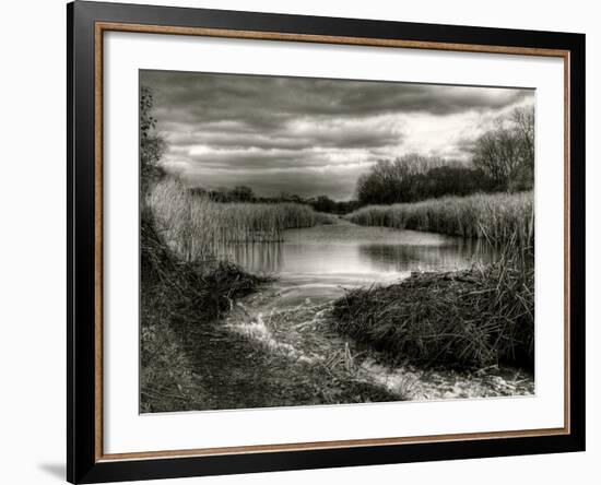 Flood Lines-Stephen Arens-Framed Photographic Print