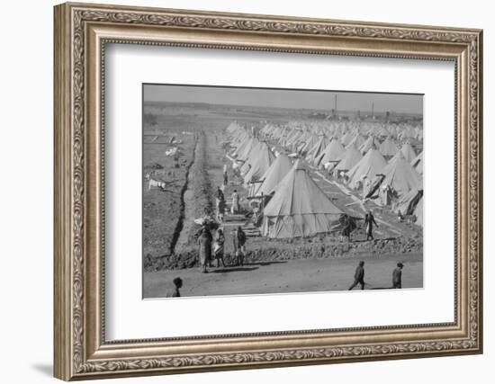 Flood refugee encampment at Forrest City, Arkansas, c.1937-Walker Evans-Framed Photographic Print