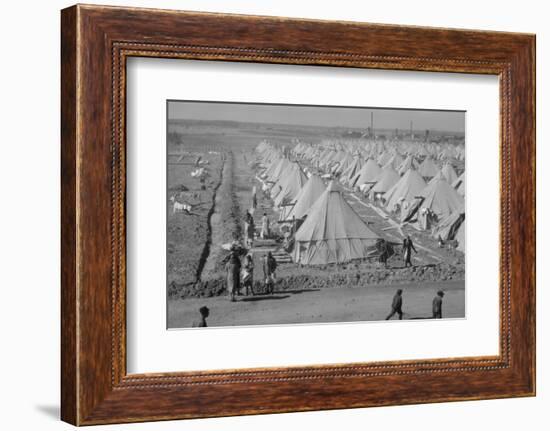 Flood refugee encampment at Forrest City, Arkansas, c.1937-Walker Evans-Framed Photographic Print