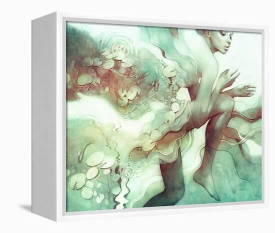 Flood-Anna Dittman-Framed Stretched Canvas