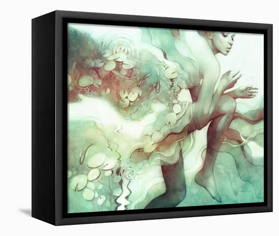 Flood-Anna Dittman-Framed Stretched Canvas