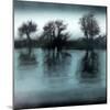 Flood-Paul Powis-Mounted Giclee Print