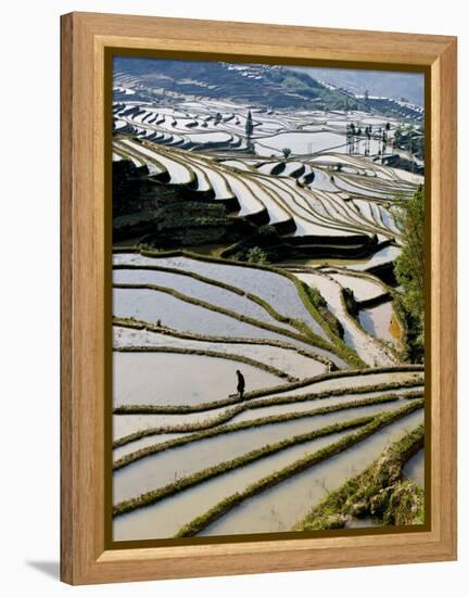 Flooded Bada Rice Terraces, Yuanyang County, Yunnan Province, China-Charles Crust-Framed Premier Image Canvas