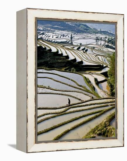 Flooded Bada Rice Terraces, Yuanyang County, Yunnan Province, China-Charles Crust-Framed Premier Image Canvas