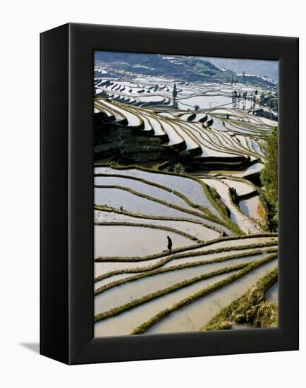 Flooded Bada Rice Terraces, Yuanyang County, Yunnan Province, China-Charles Crust-Framed Premier Image Canvas
