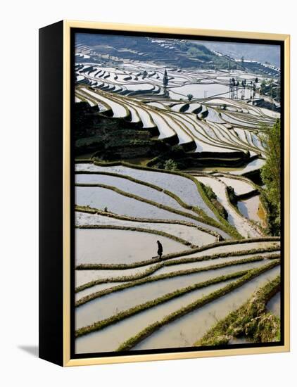 Flooded Bada Rice Terraces, Yuanyang County, Yunnan Province, China-Charles Crust-Framed Premier Image Canvas