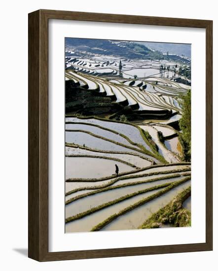 Flooded Bada Rice Terraces, Yuanyang County, Yunnan Province, China-Charles Crust-Framed Photographic Print