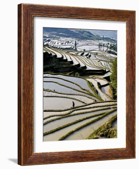 Flooded Bada Rice Terraces, Yuanyang County, Yunnan Province, China-Charles Crust-Framed Photographic Print