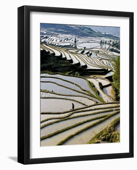 Flooded Bada Rice Terraces, Yuanyang County, Yunnan Province, China-Charles Crust-Framed Photographic Print