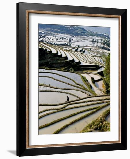 Flooded Bada Rice Terraces, Yuanyang County, Yunnan Province, China-Charles Crust-Framed Photographic Print